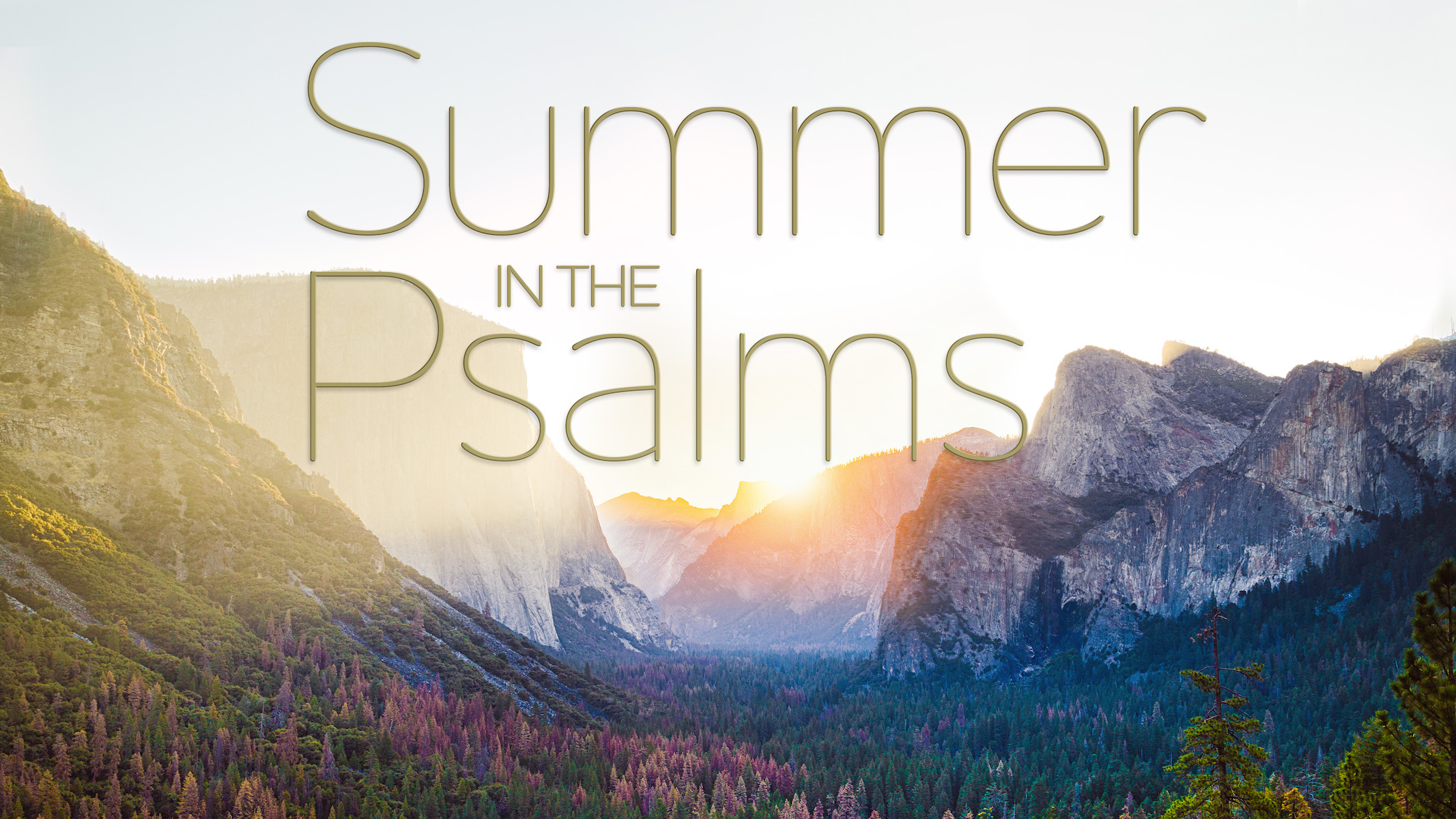 Sermon Series | Summer in the Psalms
