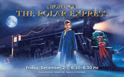 Night on the Polar Express