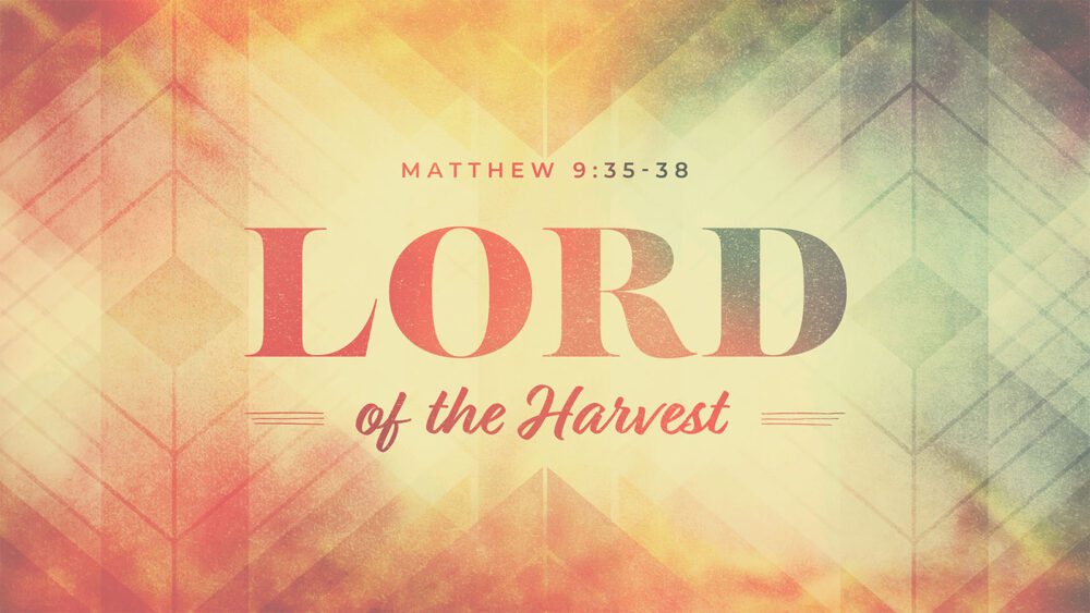 Lord of the Harvest Image