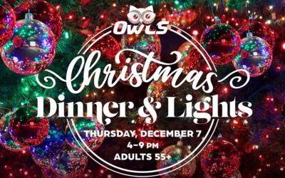 OWLS Christmas Dinner & Lights